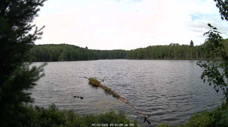 Image from 2025-07-15