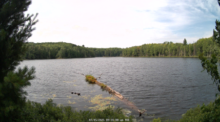 Image from 2025-07-15