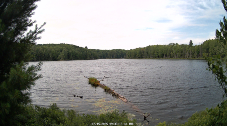 Image from 2025-07-15