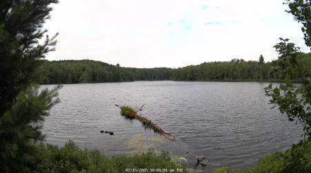 Image from 2025-07-15