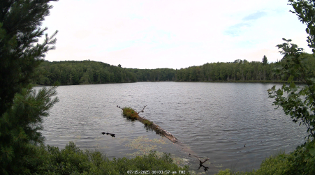 Image from 2025-07-15