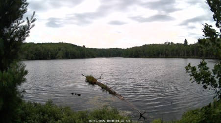 Image from 2025-07-15