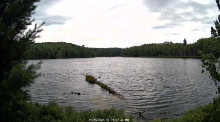 Image from 2025-07-15