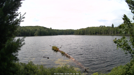 Image from 2025-07-15