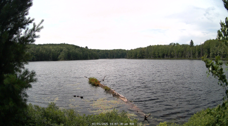 Image from 2025-07-15