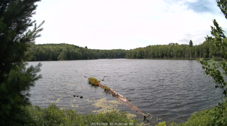 Image from 2025-07-15