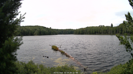 Image from 2025-07-15