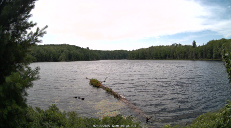 Image from 2025-07-15