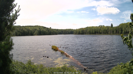 Image from 2025-07-15