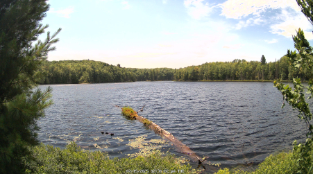 Image from 2025-07-15