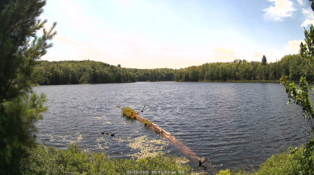 Image from 2025-07-15