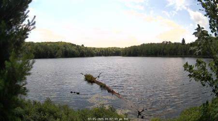 Image from 2025-07-15