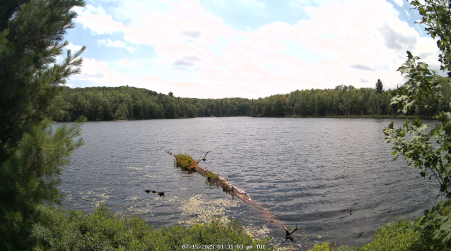 Image from 2025-07-15