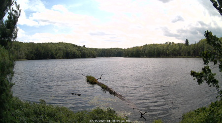 Image from 2025-07-15