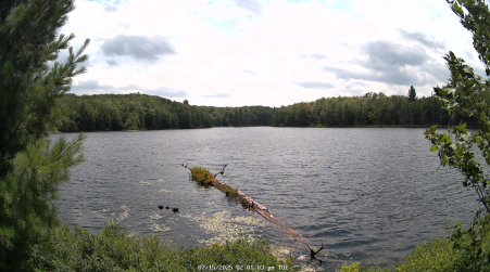 Image from 2025-07-15