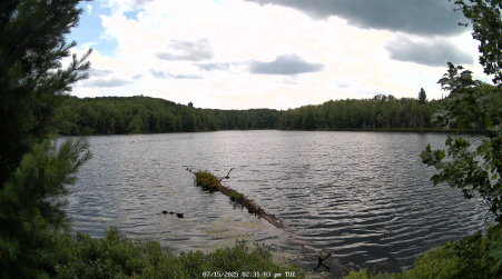 Image from 2025-07-15