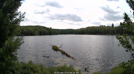 Image from 2025-07-15