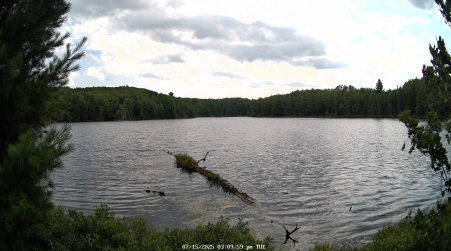 Image from 2025-07-15