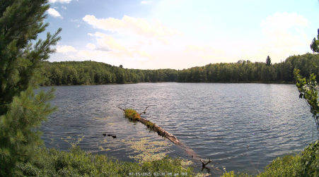 Image from 2025-07-15