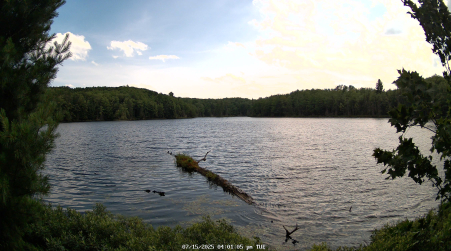 Image from 2025-07-15