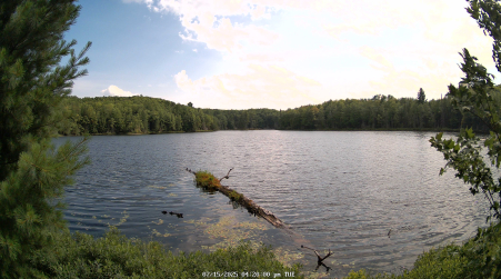 Image from 2025-07-15