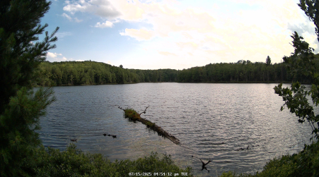Image from 2025-07-15