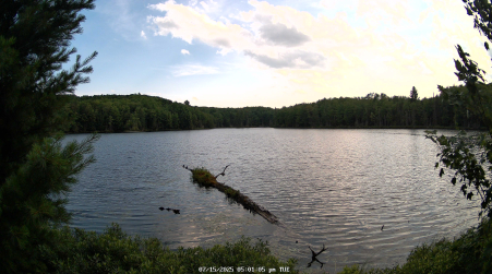 Image from 2025-07-15