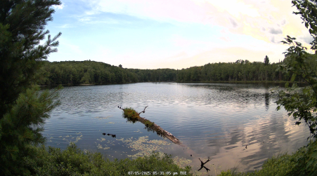 Image from 2025-07-15