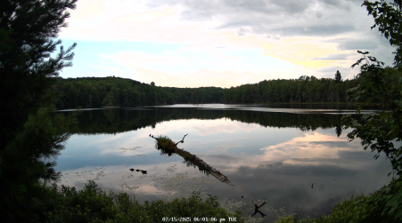 Image from 2025-07-15