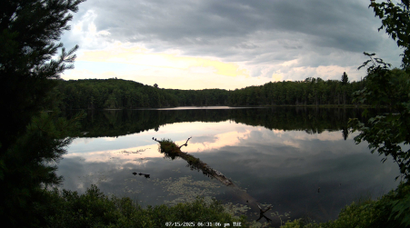 Image from 2025-07-15