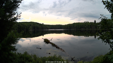 Image from 2025-07-15