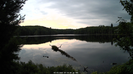 Image from 2025-07-15