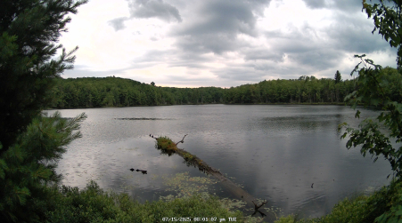 Image from 2025-07-15