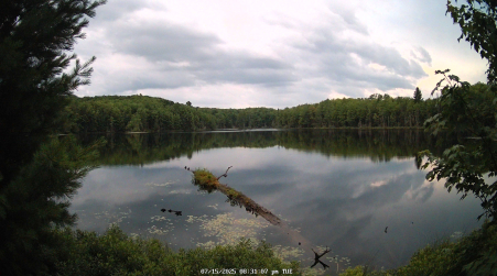 Image from 2025-07-15