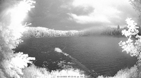 Image from 2025-07-15