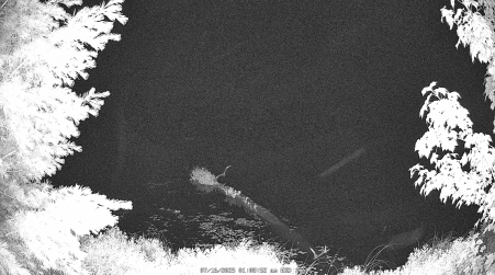 Image from 2025-07-16