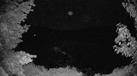 Image from 2025-07-16