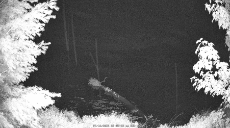 Image from 2025-07-16