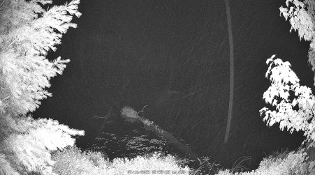 Image from 2025-07-16