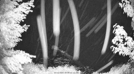 Image from 2025-07-16