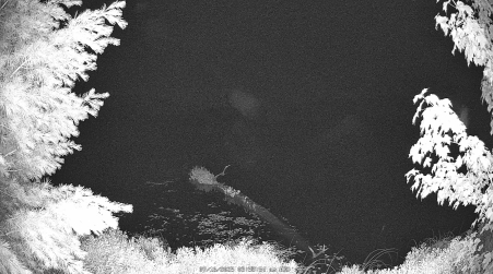 Image from 2025-07-16