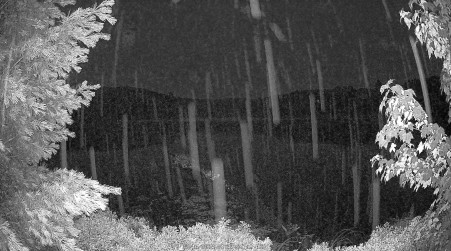 Image from 2025-07-16