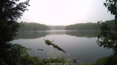 Image from 2025-07-16