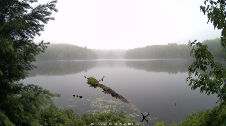 Image from 2025-07-16