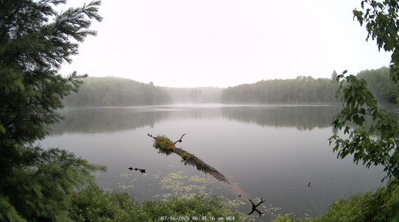 Image from 2025-07-16
