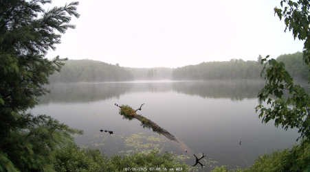 Image from 2025-07-16